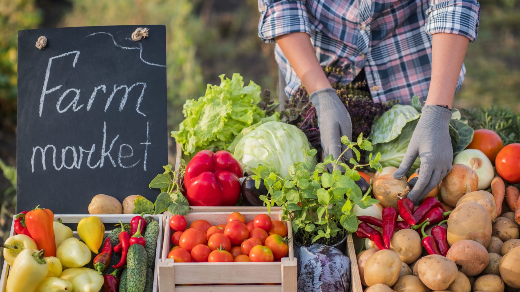 Make your Farmers Market Shopping Pandemic-Safe