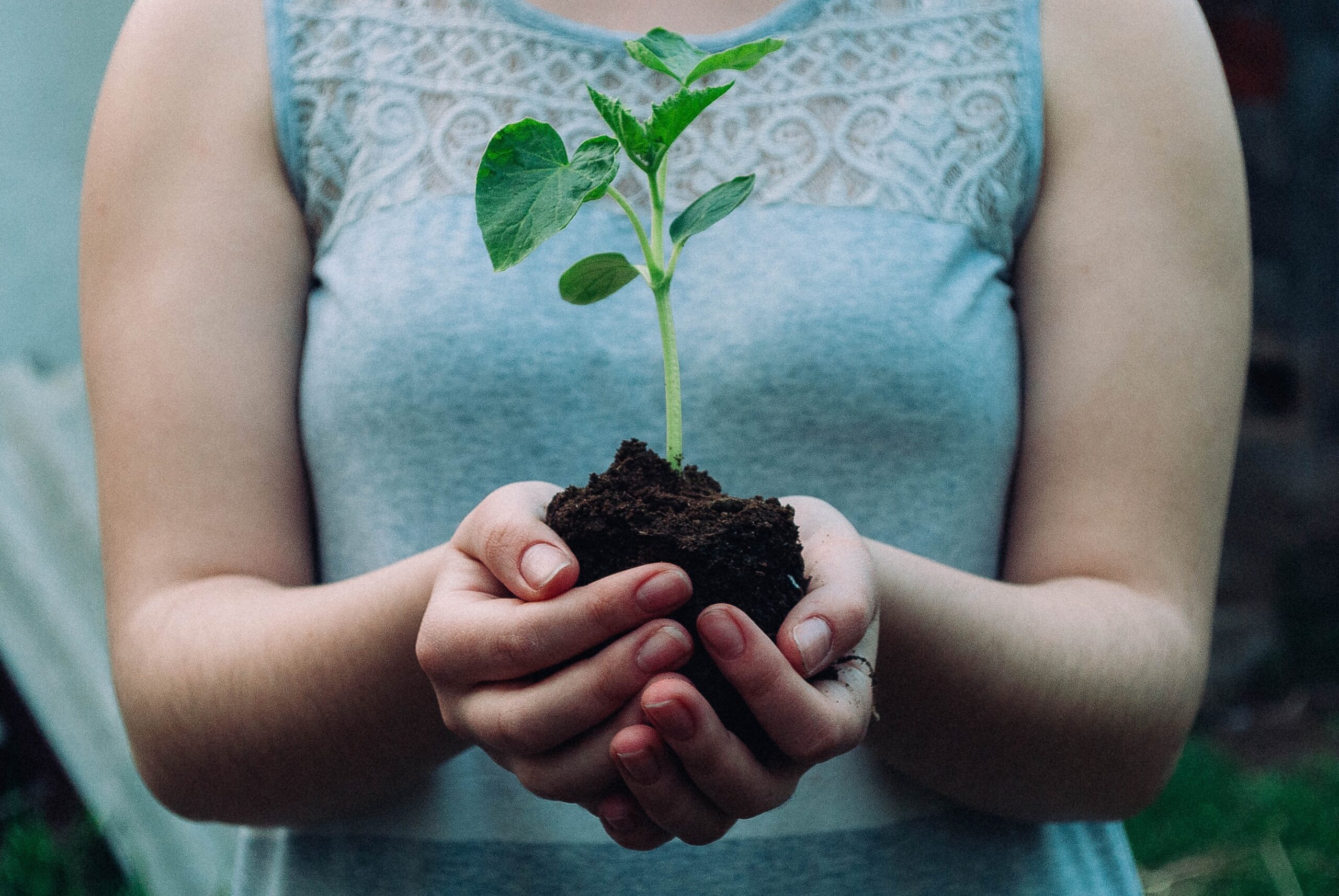 Water bottle - every purchase plants a tree - Arbor Day Foundation