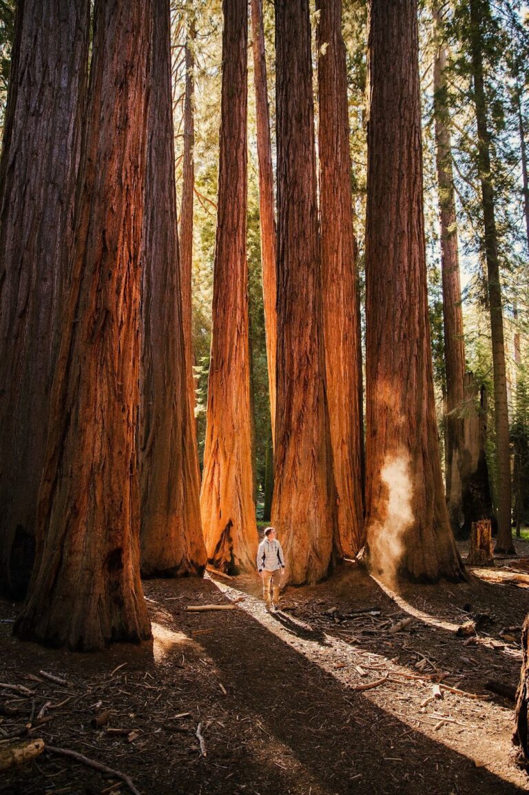 Go (North)West, Young Man! National Parks Of The Northwest