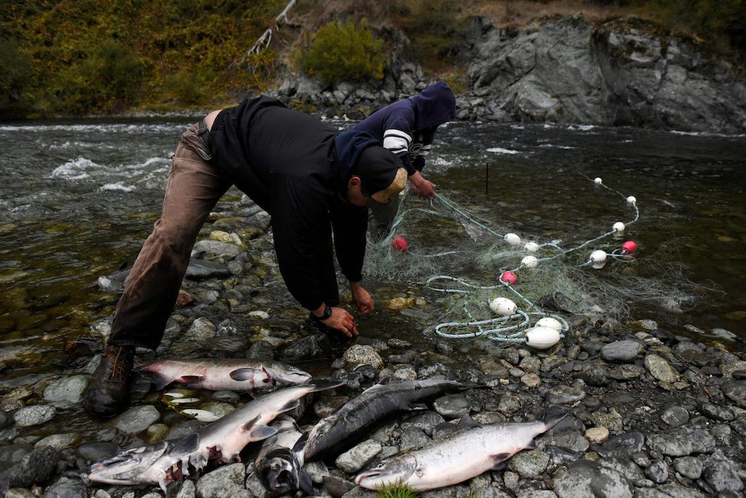 California, Hoopa Valley Tribe try to save salmon and a way of life