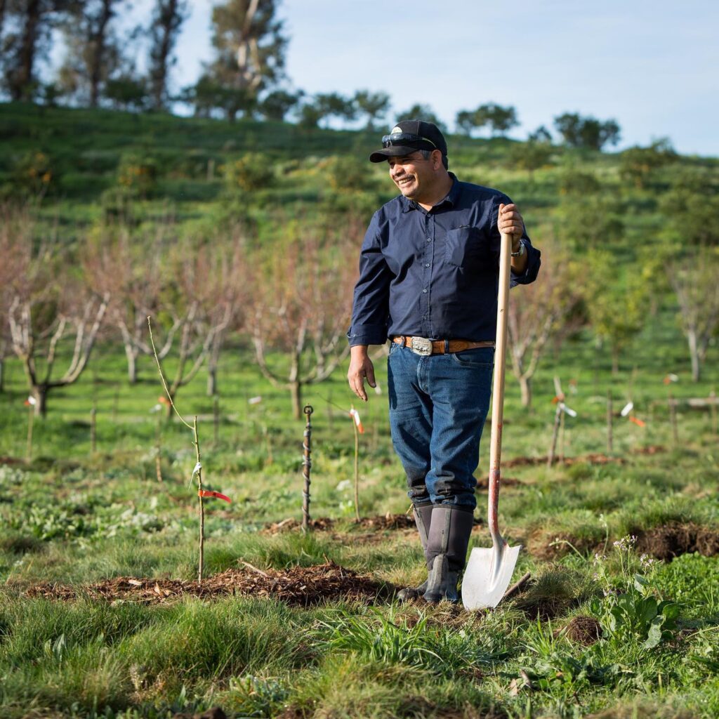 Apricot Lane Farms Sows Green Future With Regenerative Farming